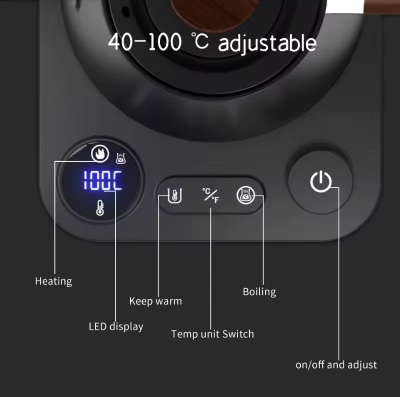 Electric Gooseneck Kettle